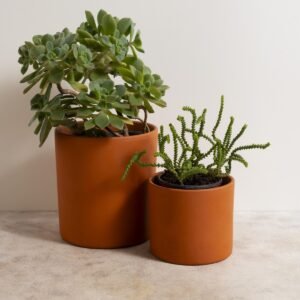 Jade Plant In Gold Tone Metal Pot